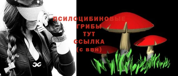 spice Абаза