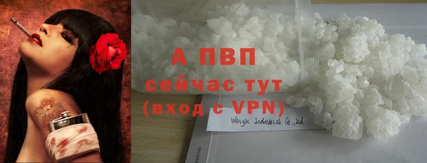 spice Абаза