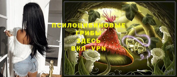 spice Абаза