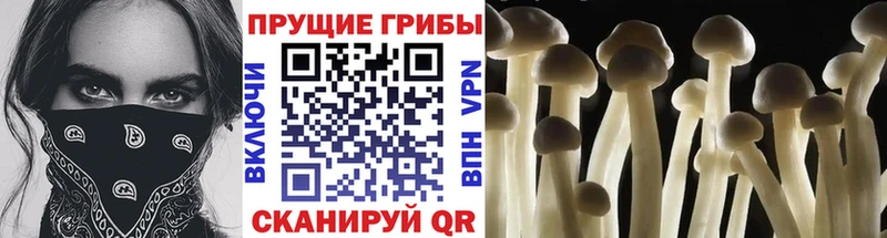 Псилоцибиновые грибы Magic Shrooms  Каргополь 